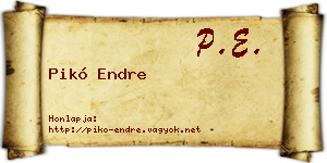 Pikó Endre névjegykártya